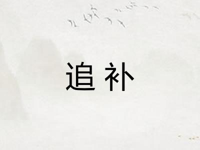 追补