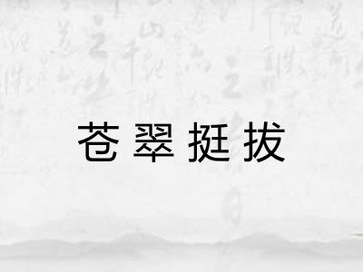 苍翠挺拔