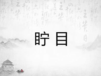 眝目