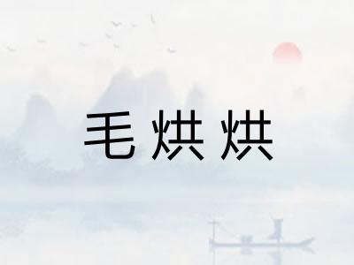 毛烘烘