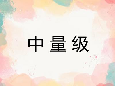 中量级