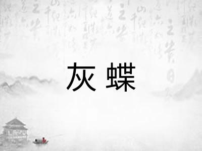 灰蝶