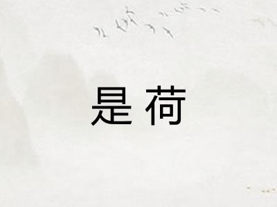 是荷