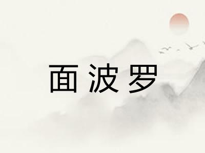 面波罗