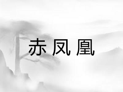 赤凤凰