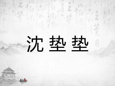 沈垫垫