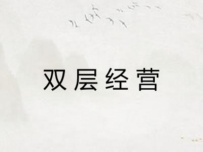 双层经营
