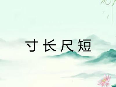 寸长尺短