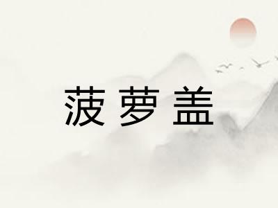 菠萝盖