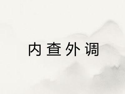 内查外调