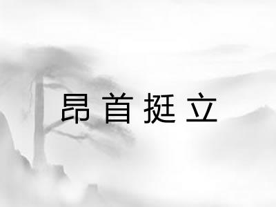 昂首挺立