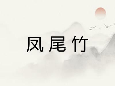 凤尾竹