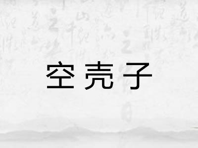 空壳子
