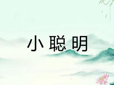 小聪明