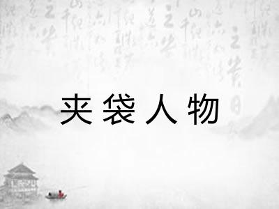夹袋人物