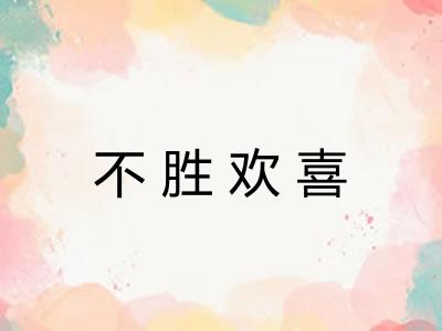 不胜欢喜