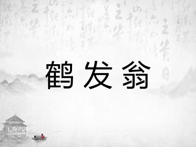 鹤发翁