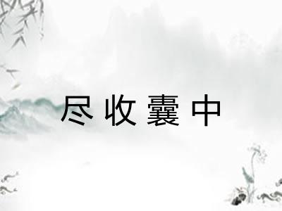 尽收囊中