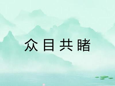 众目共睹