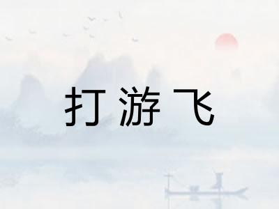 打游飞