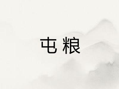屯粮