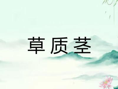 草质茎