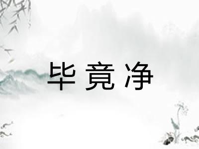 毕竟净