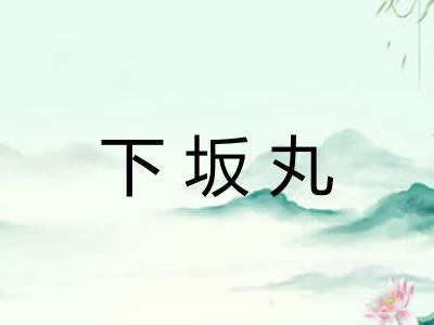 下坂丸