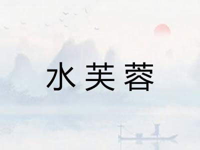 水芙蓉