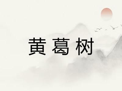 黄葛树
