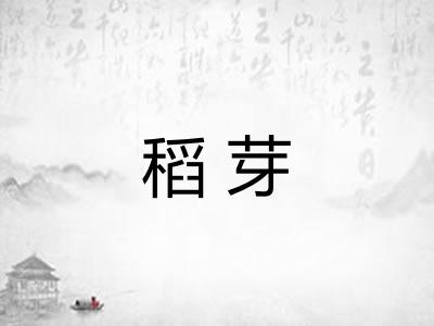 稻芽