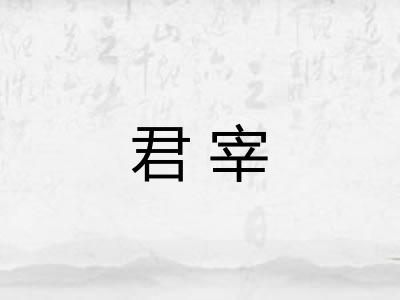 君宰