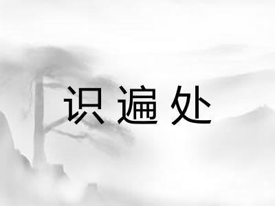 识遍处