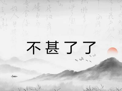 不甚了了