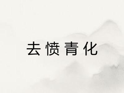 去愤青化