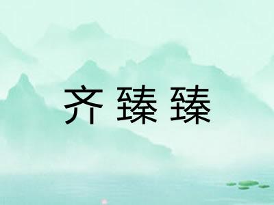 齐臻臻