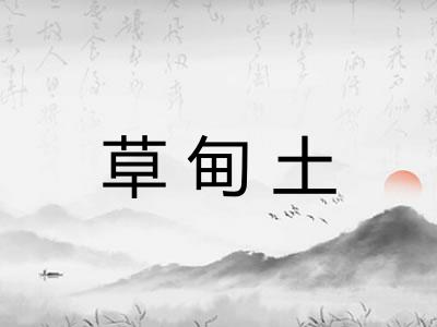 草甸土
