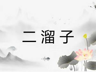 二溜子