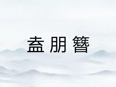 盍朋簪