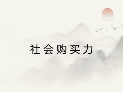 社会购买力