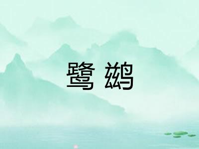 鹭鹚