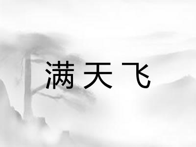 满天飞