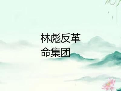 林彪反革命集团