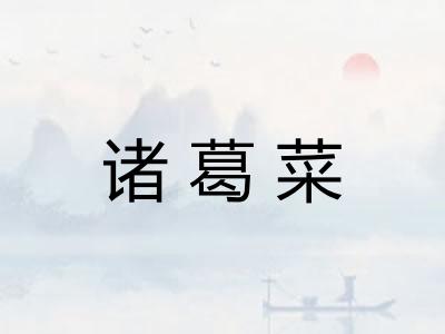 诸葛菜