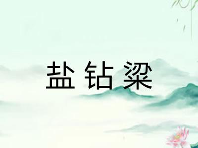 盐钻粱