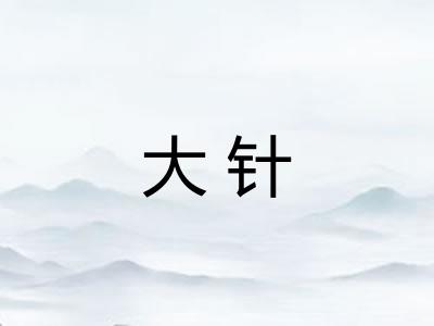 大针