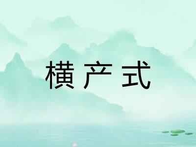 横产式