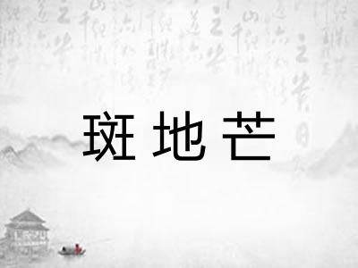 斑地芒