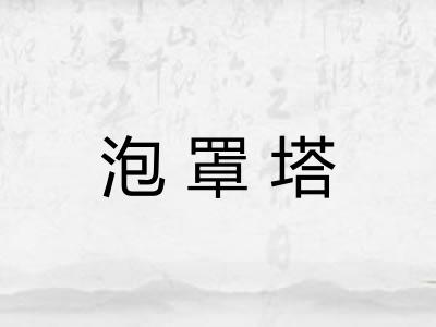 泡罩塔