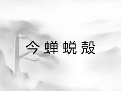 今蝉蜕殻